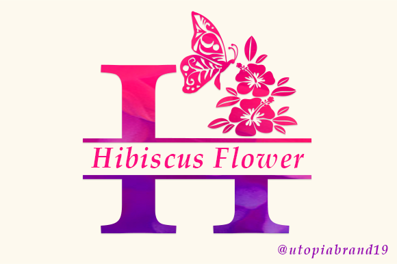 Designing with Hibiscus Flower Monogram: A Decorative Font for Web