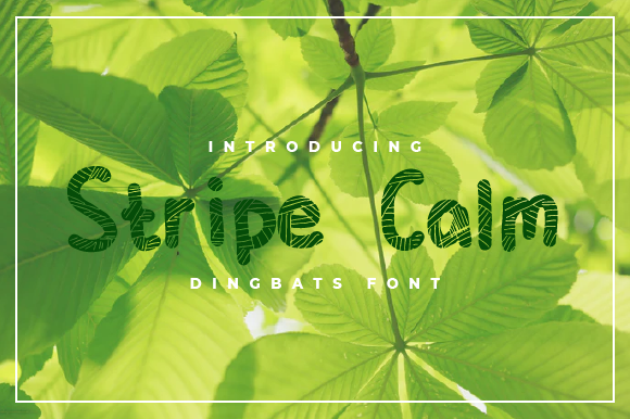 Stripe Calm: A Versatile Decorative Font for Branding