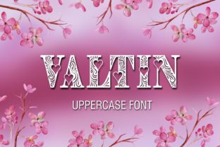 Valtin: A Fun Decorative Font for Brand Identity