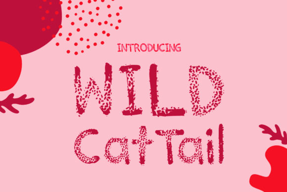 Wild Cat Tail: A Playful Typeface for Editorial Impact